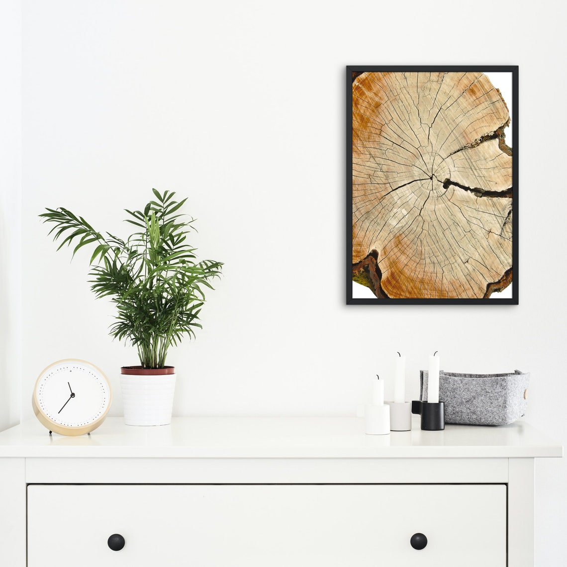 Tree Ring Print Tree Ring Art Print Tree Ring Home Decor Wall Art Print Wall Art Tree Print Tree Stump Print Art - Image 2