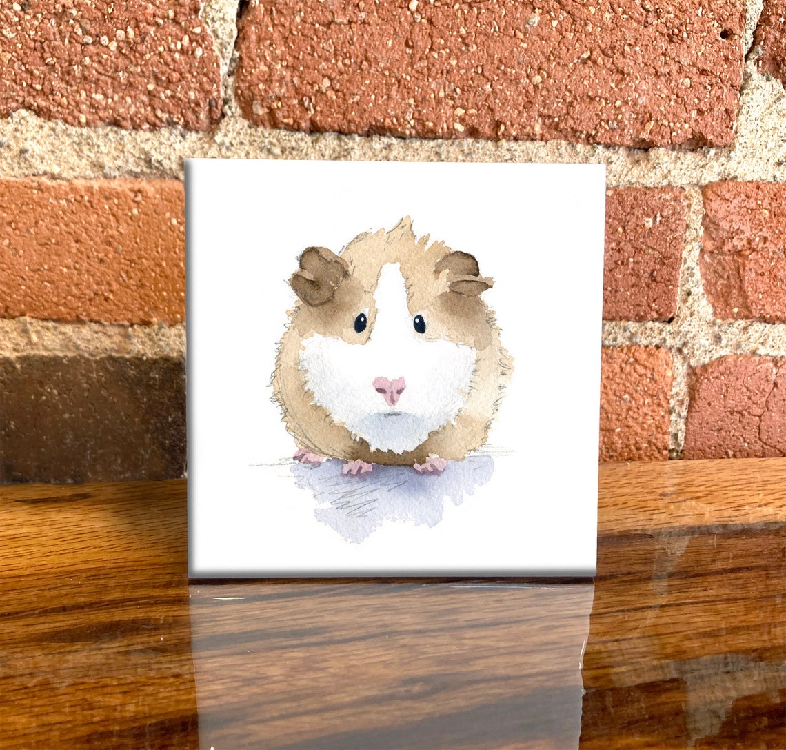 Round Fluffy Guinea Pig With Sweet Face Watercolor Pet Tile Poster