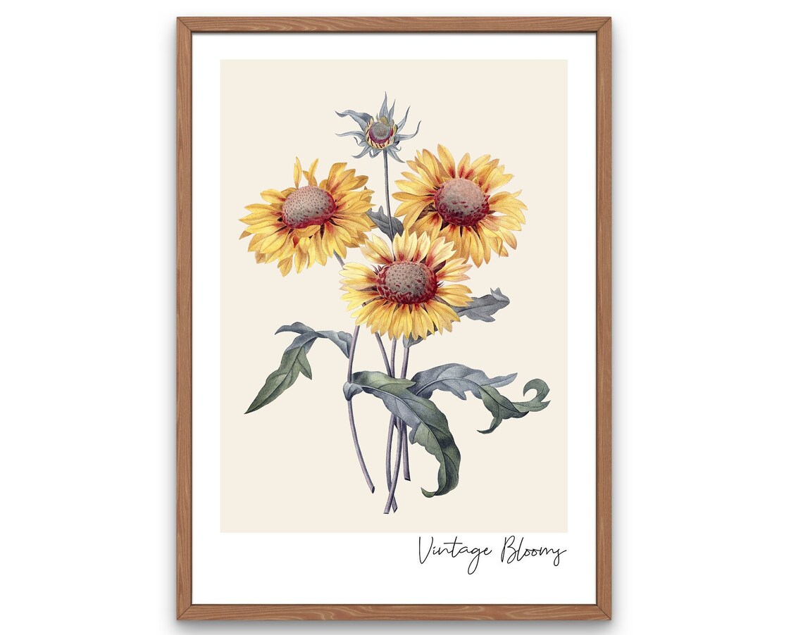 Vintage Sunflowers Botanical Art Print, Rustic Boho Decor