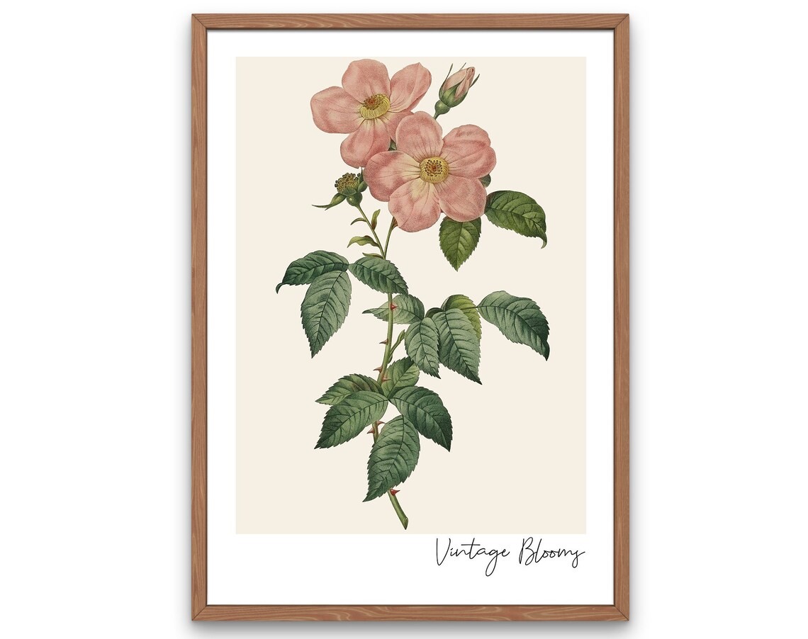 Vintage Blooms Blush Rose Botanical Antique Garden Floral Poster