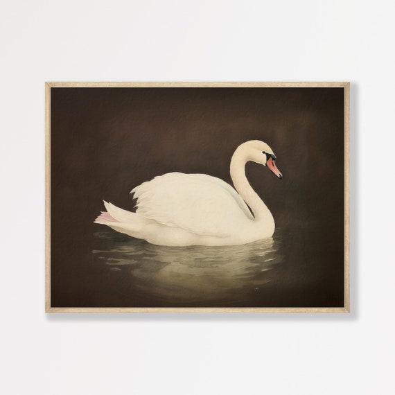 Vintage Swan Watercolor Painting Dark Antique Wall Art Moody Maximalist Decor Rustic Swan Print P 829