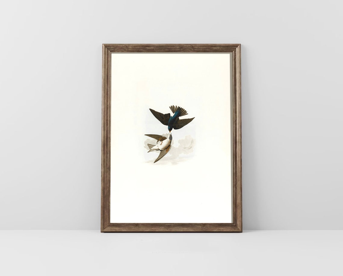 Two Songbirds Flying Antique Bird Engraving Vintage Nature Poster - Image 4