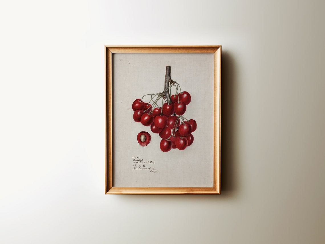 Vintage Red Cherries Branch Botanical Fruit Kitchen Wall Art