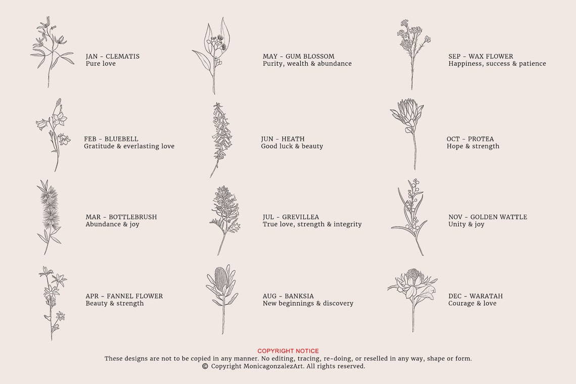 Family Birth Flower Line Art Print with Four Native Wildflower Stems - Image 5