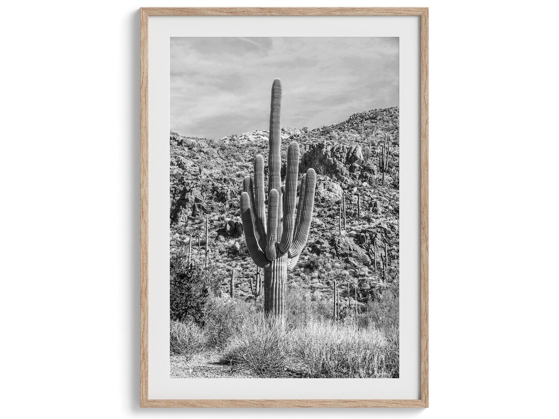 Saguaro Cactus Retro Black and White Art Print