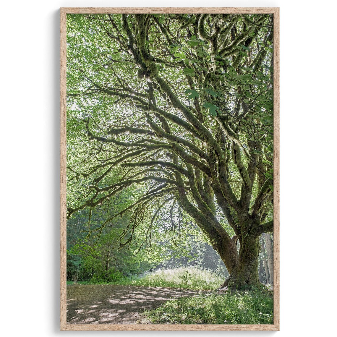 Magical Tree Forest Photography Wall Art Print - Image 2