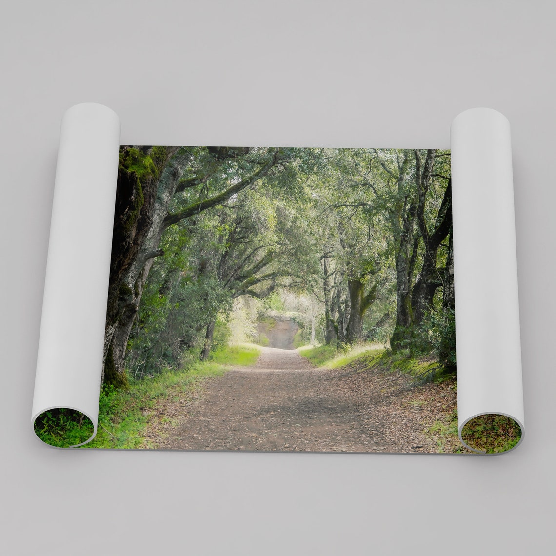 Oak Tree Tunnel Woodland Path Moss Dappled Light Forest Walk Poster - Image 3
