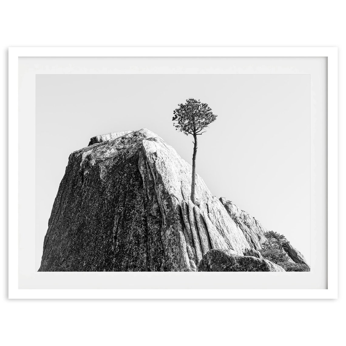 Lone Pine Tree Granite Cliff Black And White Minimal Mountain Poster - Image 4