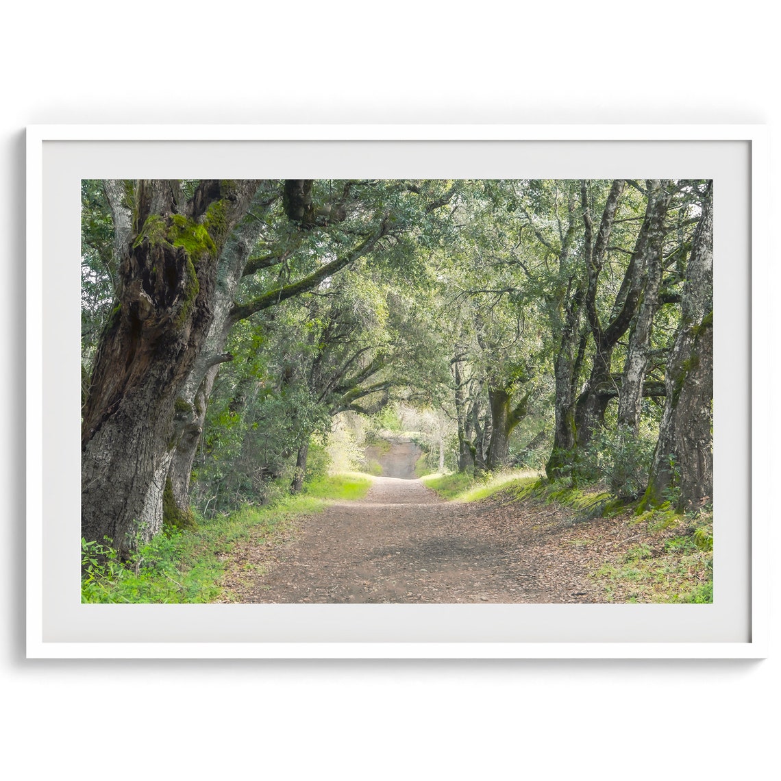 Oak Tree Tunnel Woodland Path Moss Dappled Light Forest Walk Poster - Image 4