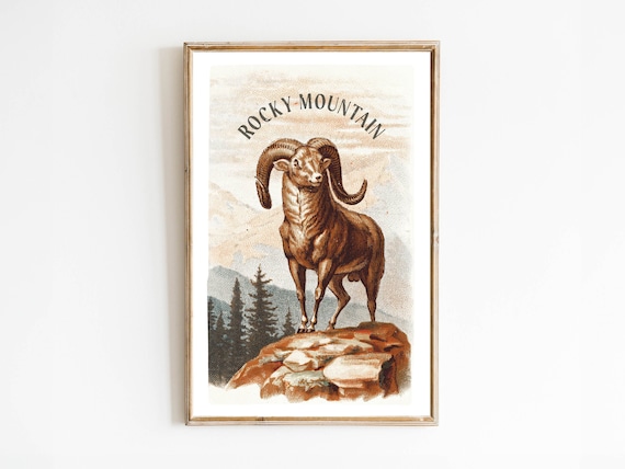 Rocky Mountain Bighorn Sheep Vintage Western Wildlife Art Poster