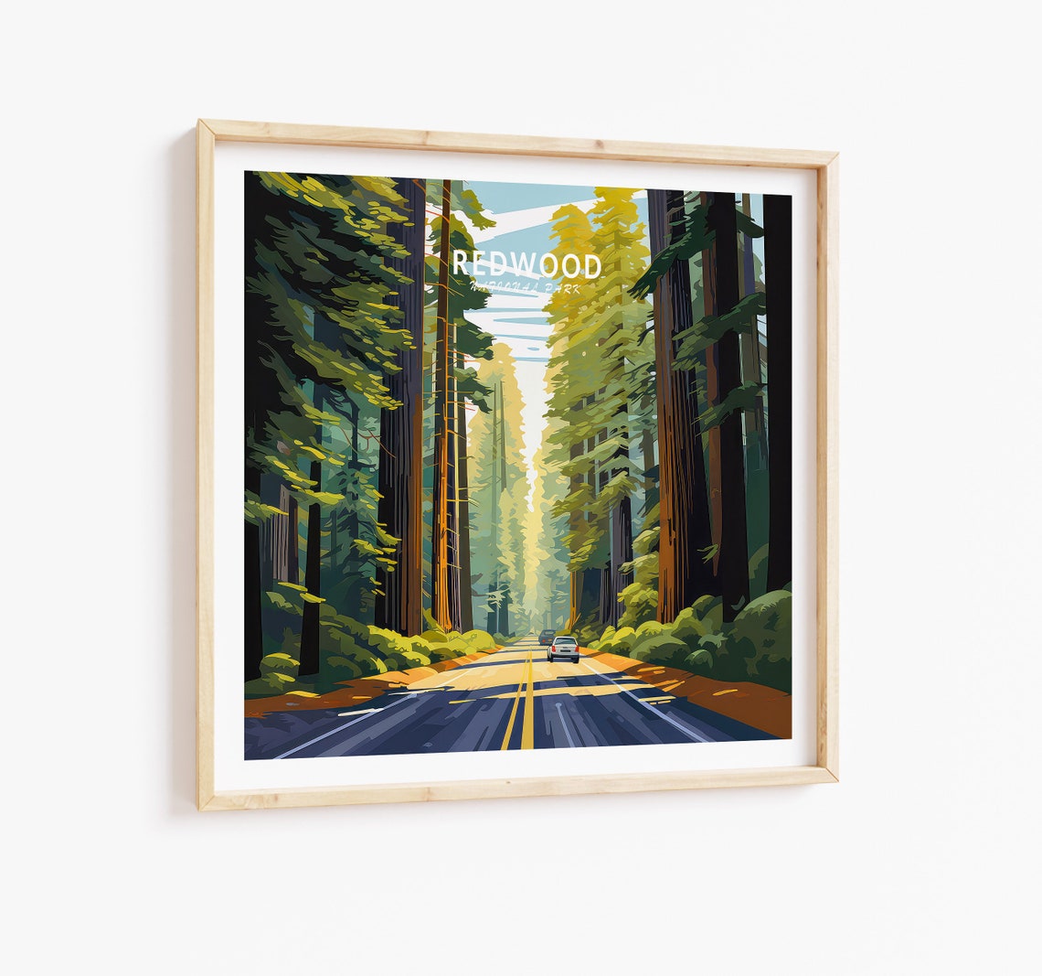 Redwood National Park Sunlit Forest Road Square Travel Poster