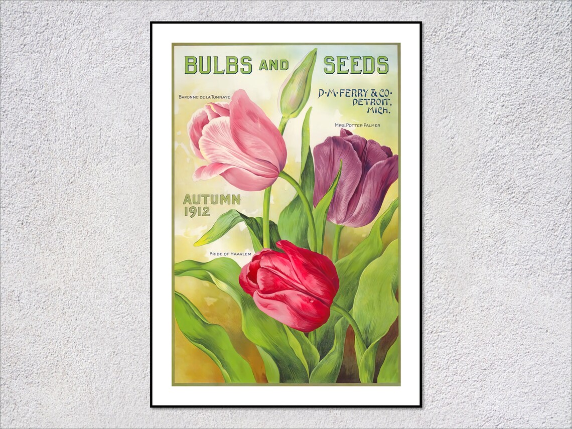 1912 Bulbs And Seeds Vintage Botanical Poster