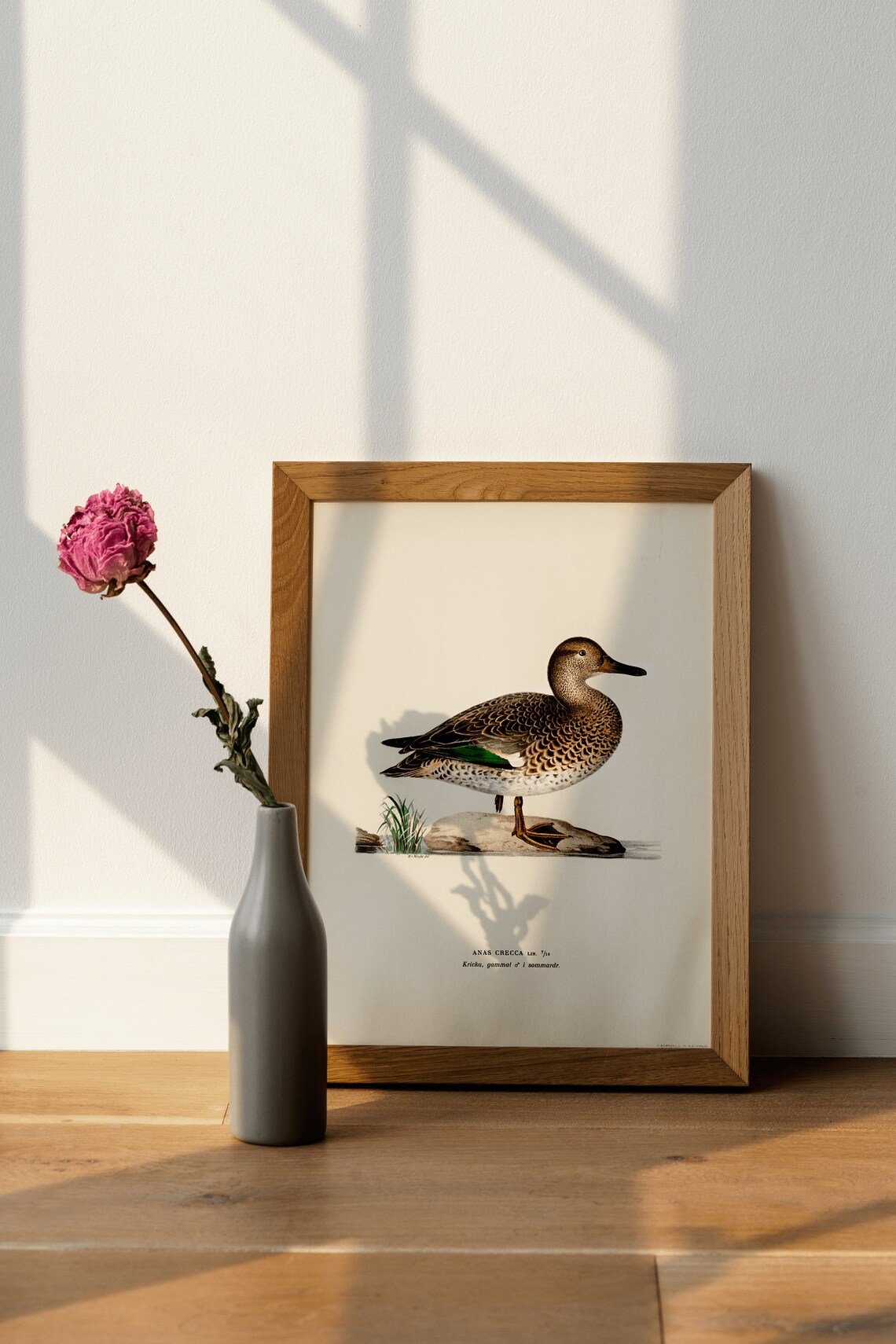 Vintage Duck Bird Nature Art Print, Home Decor - Image 3
