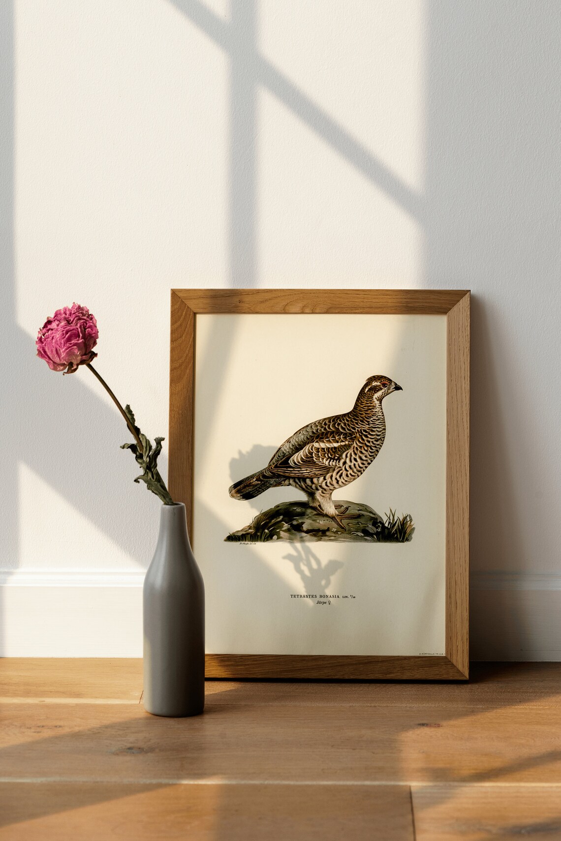 Hazel Grouse Vintage Nature Bird Art Print - Image 4