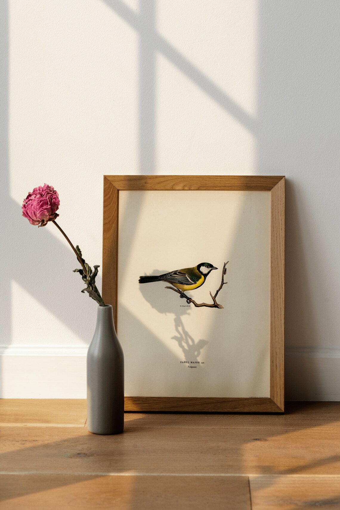 Great Tit Bird Vintage Nature Art Print Poster - Image 3