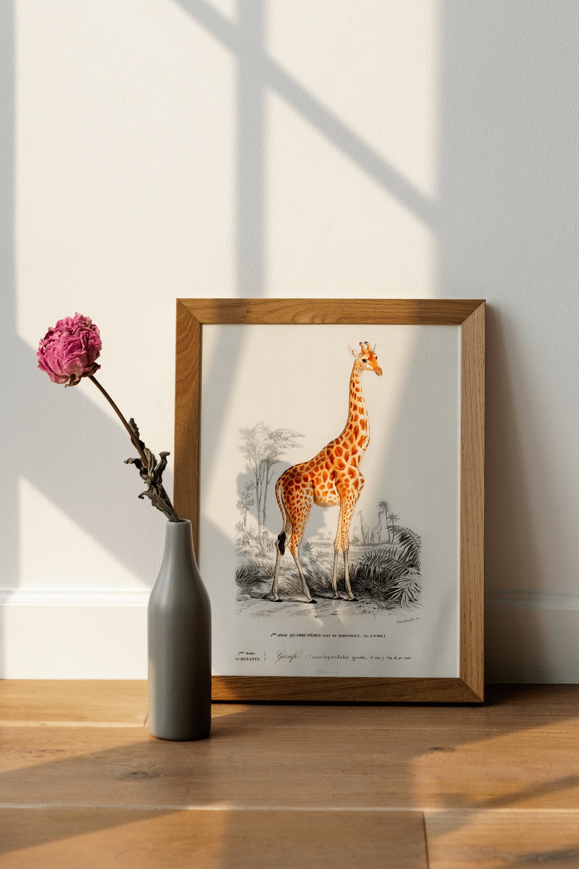 Vintage Giraffe Wall Art Print Poster A3 A4 High Quality Classic Home Decor Giclee Print - Image 4