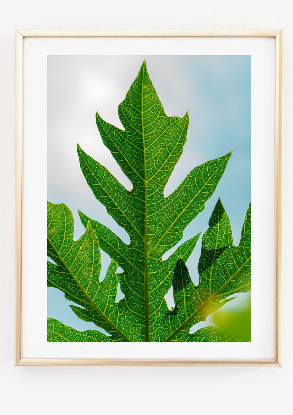 Green Tropical Leaf Close Up Macro Nature Photography Wall Poster - Image 2