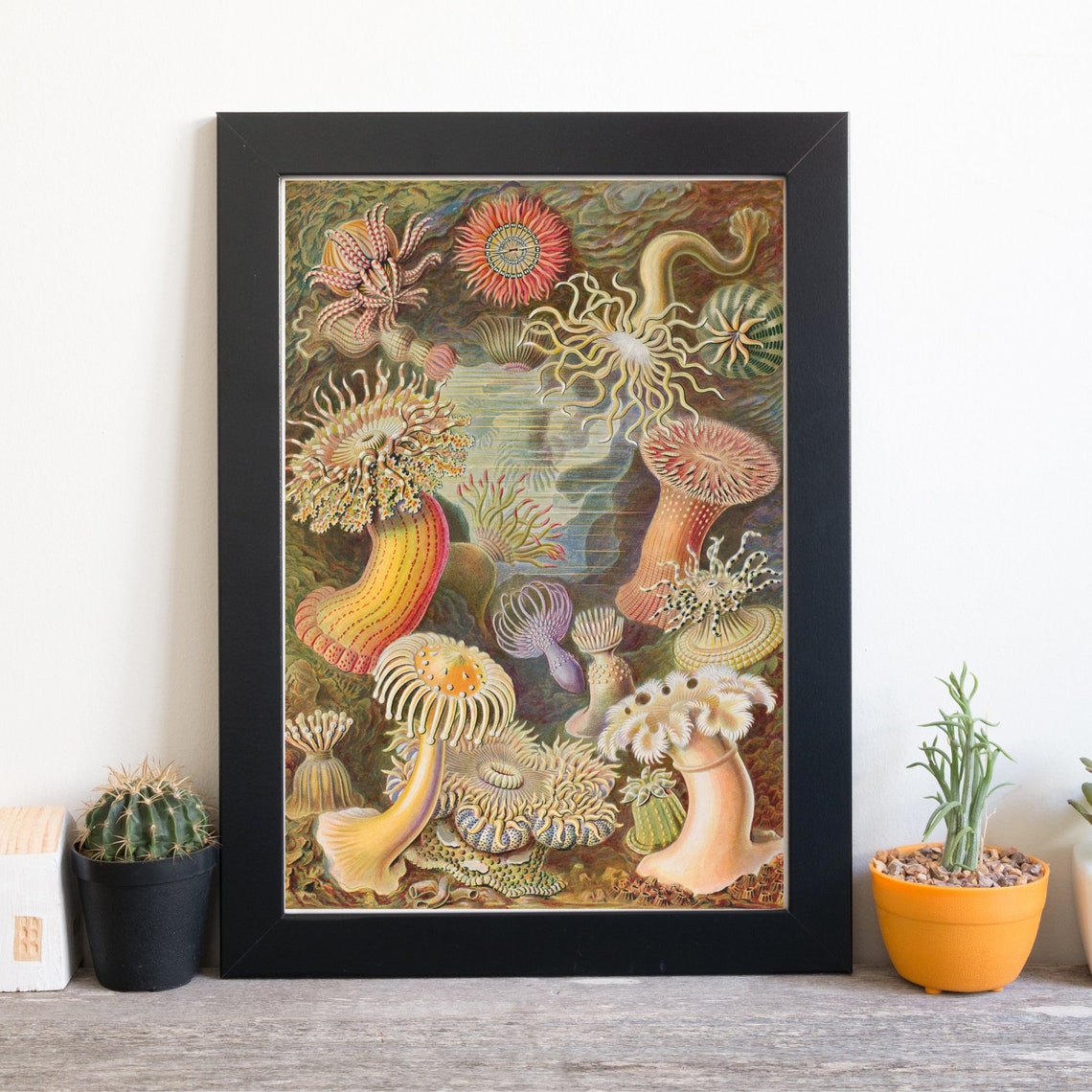 Haeckel Sea Anemones Vintage Scientific Coral Illustration Art Print - Image 2