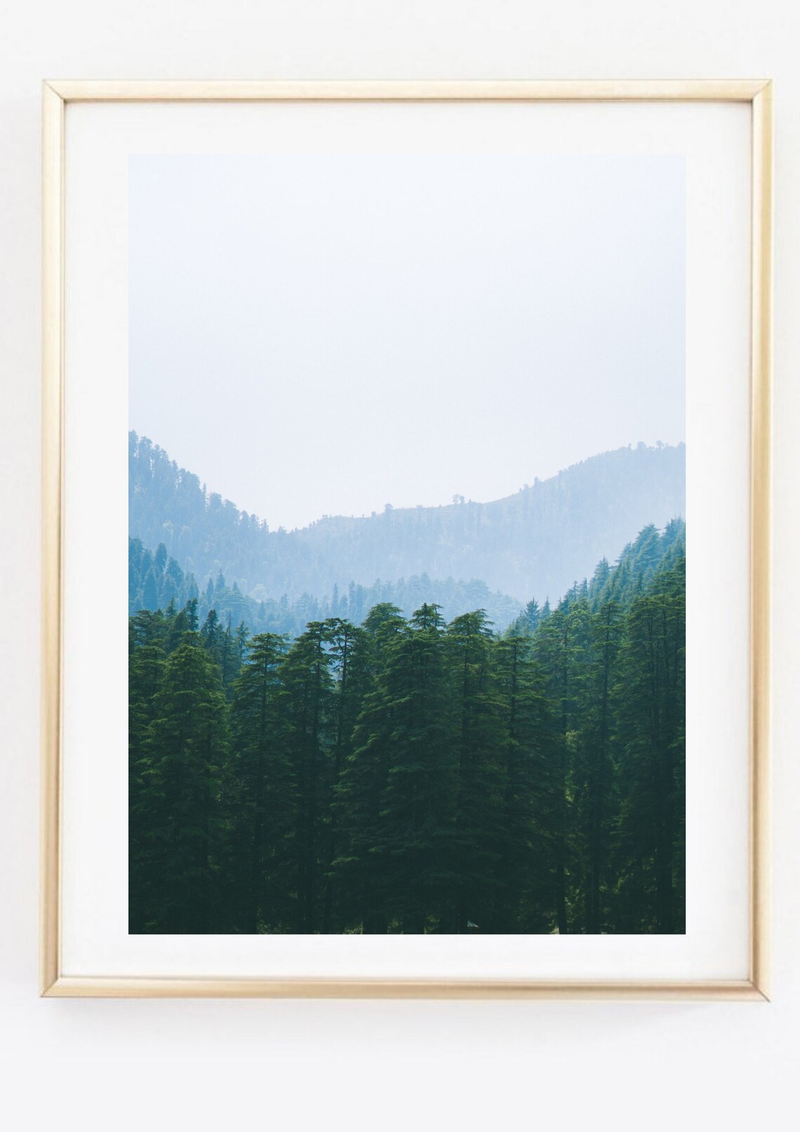 Misty Blue Pine Forest Mountain Valley Nature Photography Poster