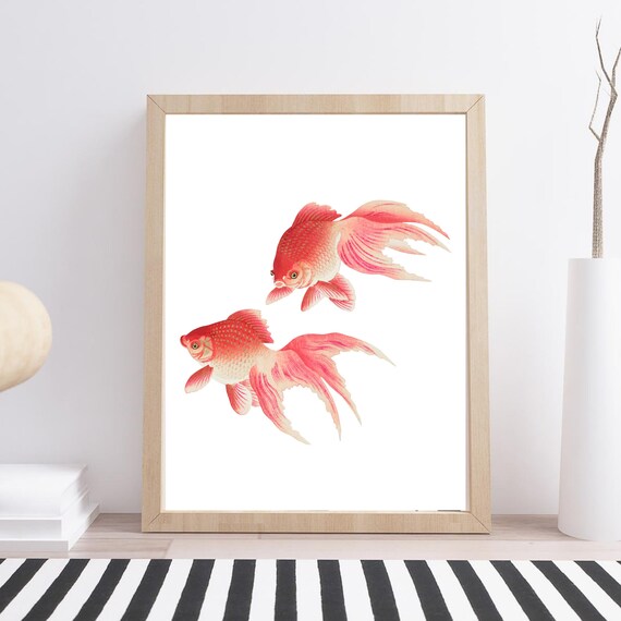 Din A4 Art Print Without Frame Goldfish Goldfish Fish Vintage Retro Red Print Poster Image