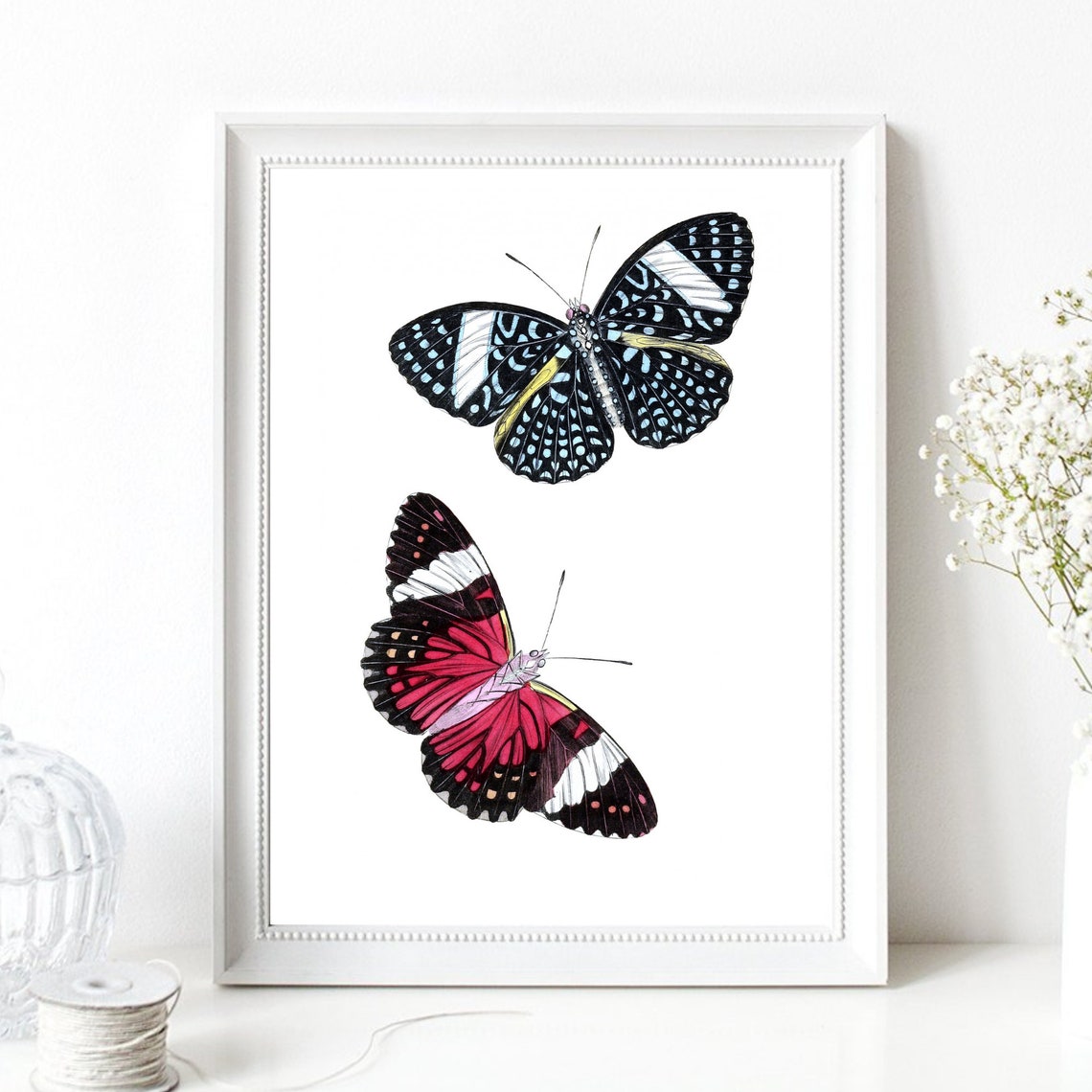 Vintage Butterfly Pair Red Blue Botanical Illustration Wall Art Print