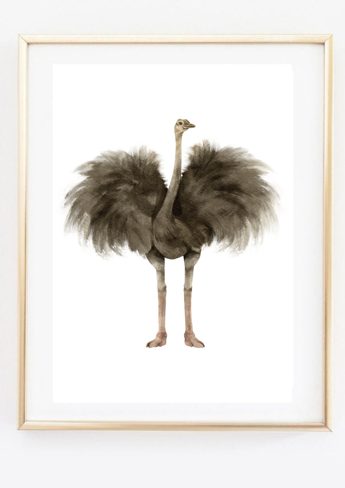 Din A4 Art Print Without Frame Ostrich Africa Watercolor Poster Print Picture - Image 2