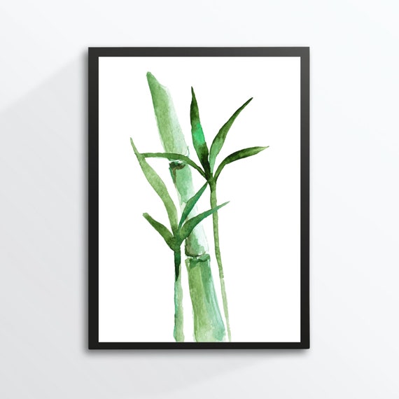 Din A4 Art Print Without Frame Bamboo Bamboo Shrub Plant Green Watercolor Print Poster Image
