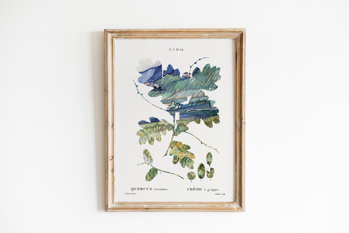 Vintage Botanical Oak Leaf Quercus Racemosa French Plate Poster - Image 3