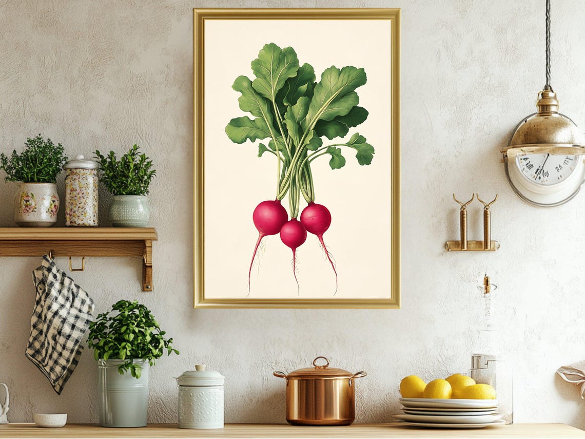 Red Radish Bunch Botanical Vegetable Illustration Kitchen Poster