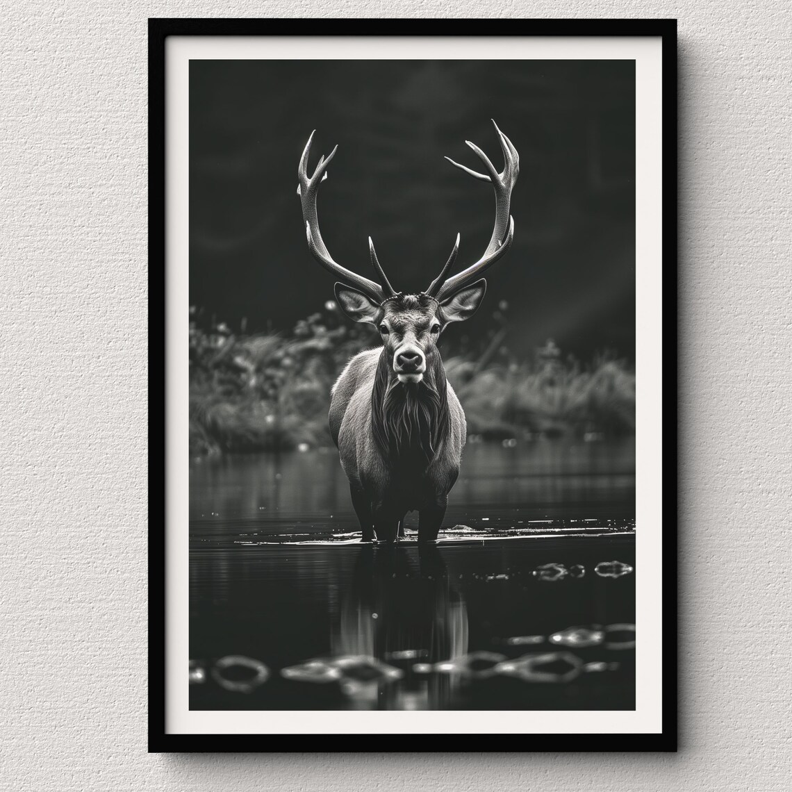Majestic Elk Stag Standing in Water Black and White Fine Art Poster