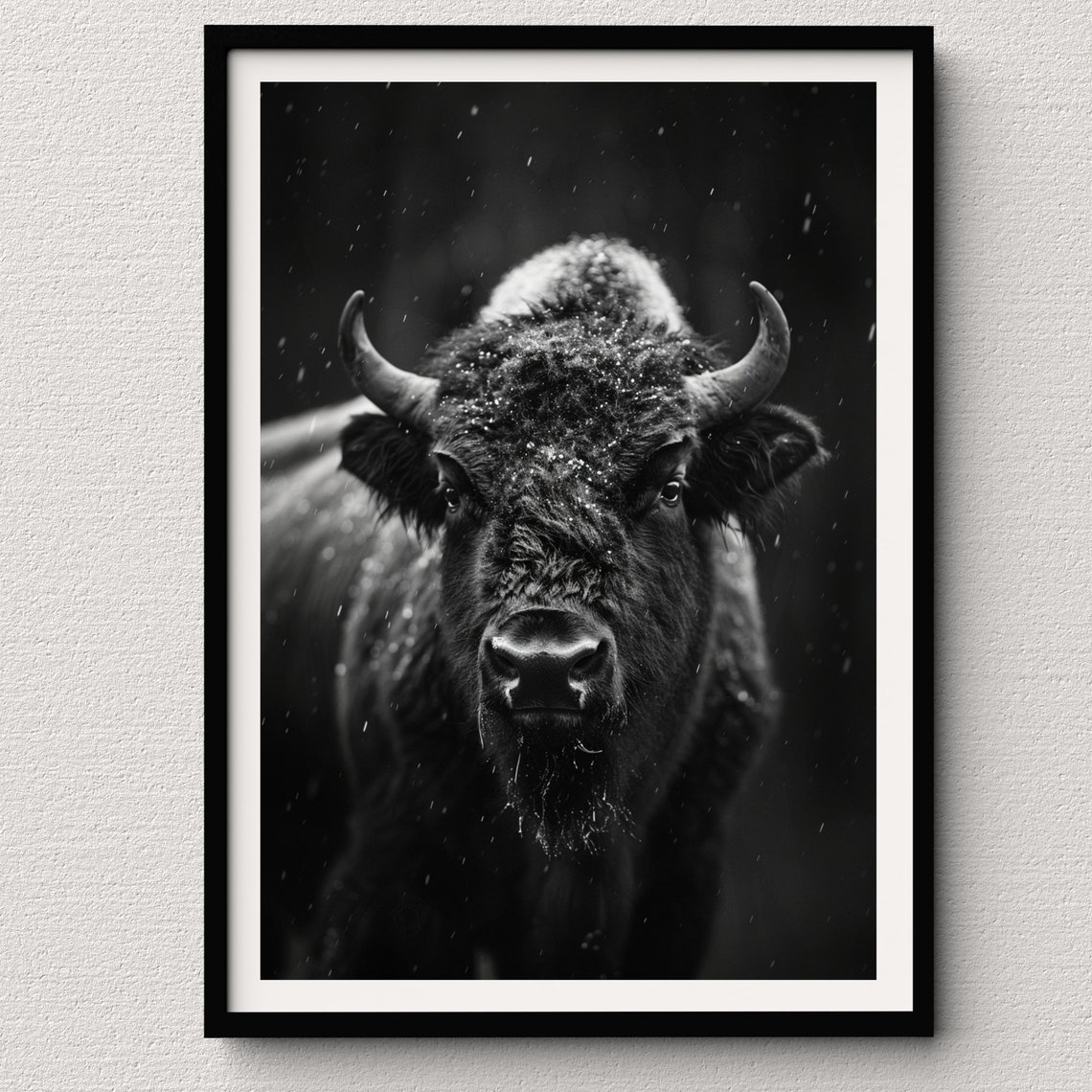 American Bison in Falling Snow Black and White Wildlife Photo Poster