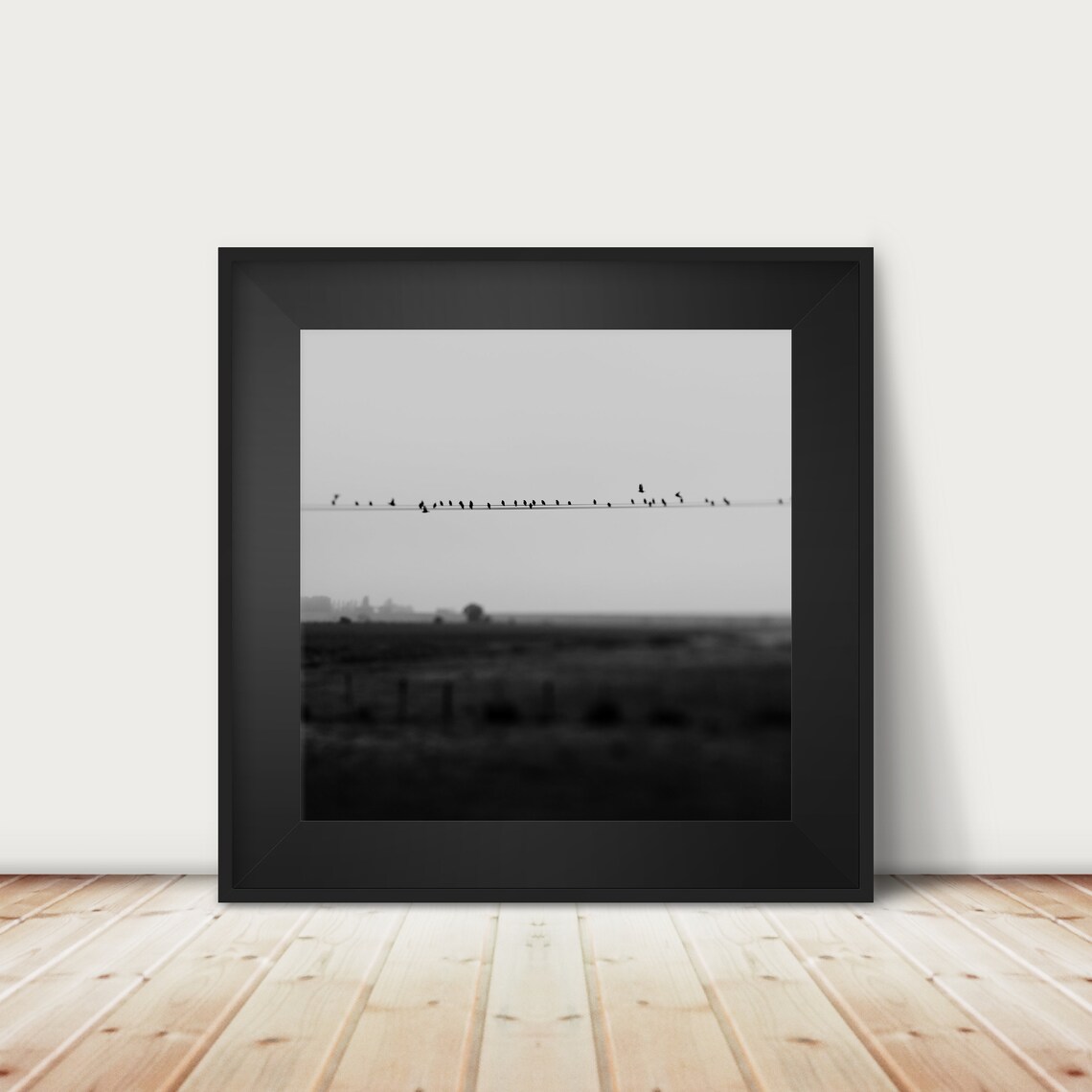 Black and White Birds on Wires Misty Field Photography Poster