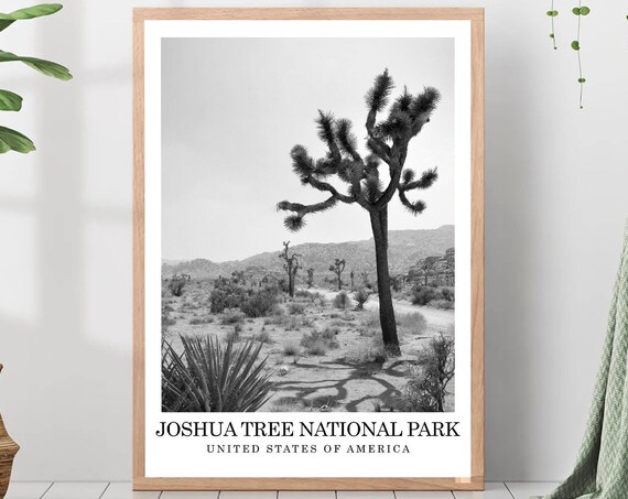 Joshua Tree National Park Desert Black and White Photo Travel Poster