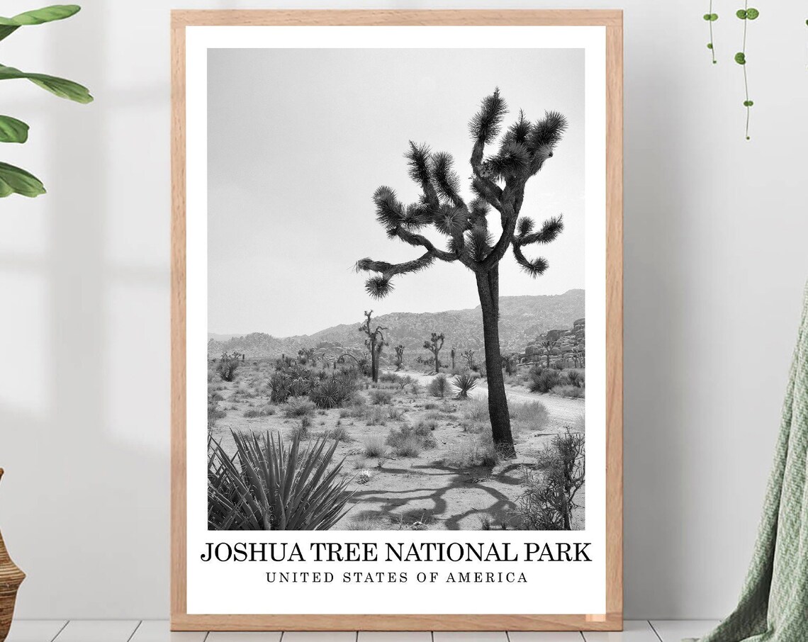 Joshua Tree National Park Desert Black and White Photo Travel Poster