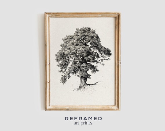 Tree Drawing Black And White Wall Art Nature Artwork Rustic Forest Decor Handdrawn Illustration