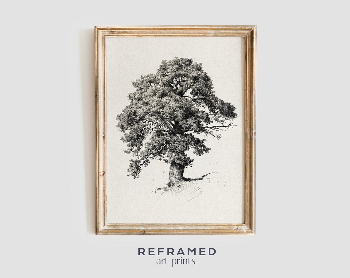 Black And White Hand Drawn Oak Tree Vintage Nature Sketch Poster