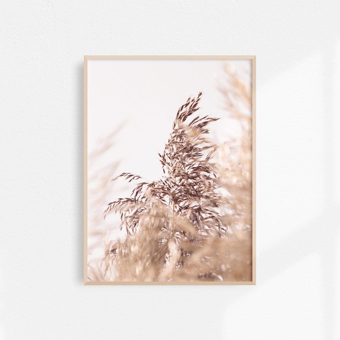 Pampas Grass Close-Up in Soft Neutral Tones Botanical Poster