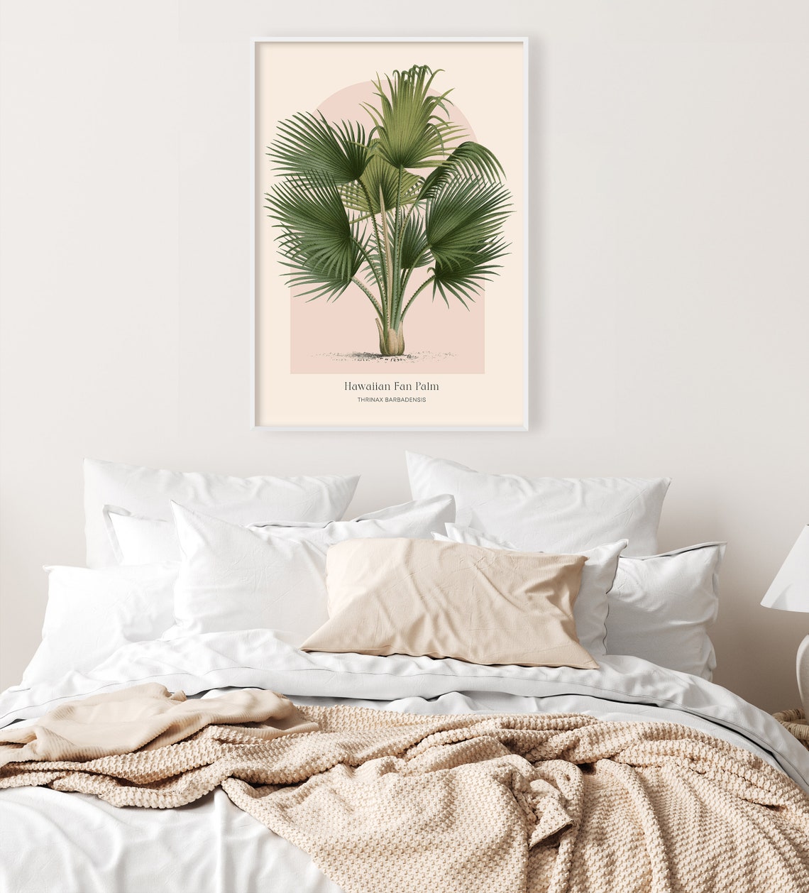Hawaiian Fan Palm Thrinax Botanical Vintage Tropical Art Poster - Image 3