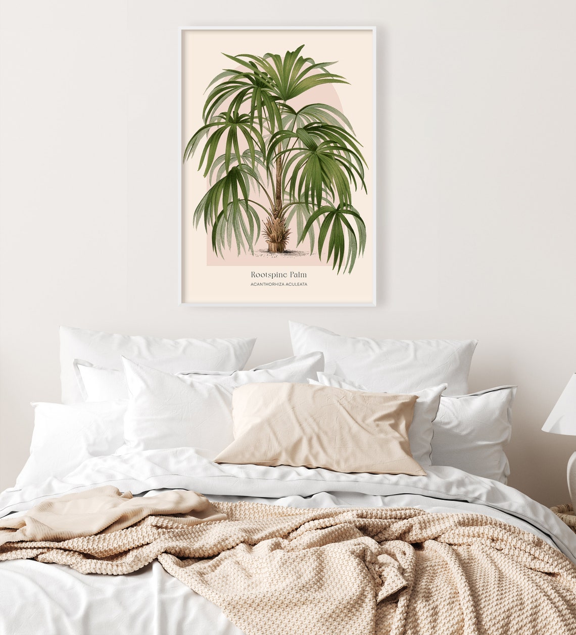 Rootspine Palm Acanthorhiza Botanical Vintage Tropical Poster - Image 3