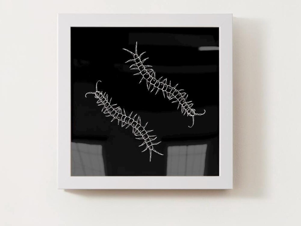 Monochrome Centipede Poster Print, Bugs For Kids - Image 4