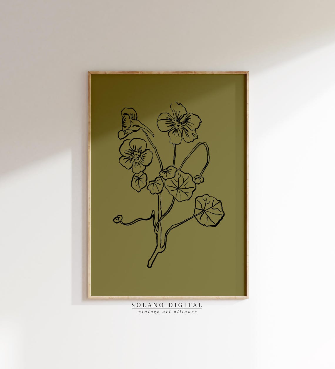 Nasturtium Botanical Line Art Olive Green Vintage Floral Poster