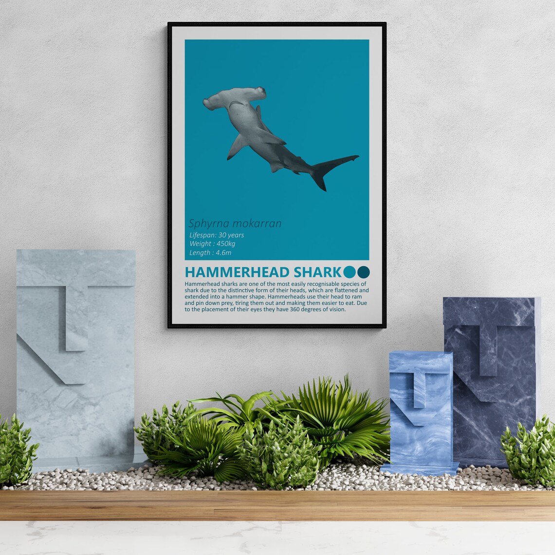 Hammerhead Shark Fact Sheet, Nautical Theme - Image 3