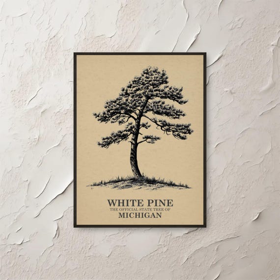 White Pine Print Wall Art Michigan State Tree Botanical Illustration Vintage Style House Decor Nature
