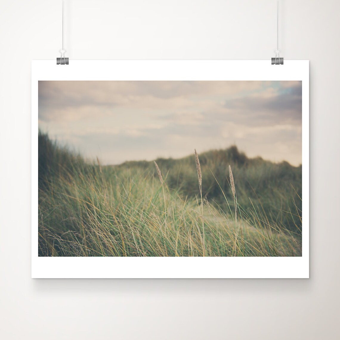 Beach Grass Dunes at Sunset Norfolk Coastal Nature Photo Poster