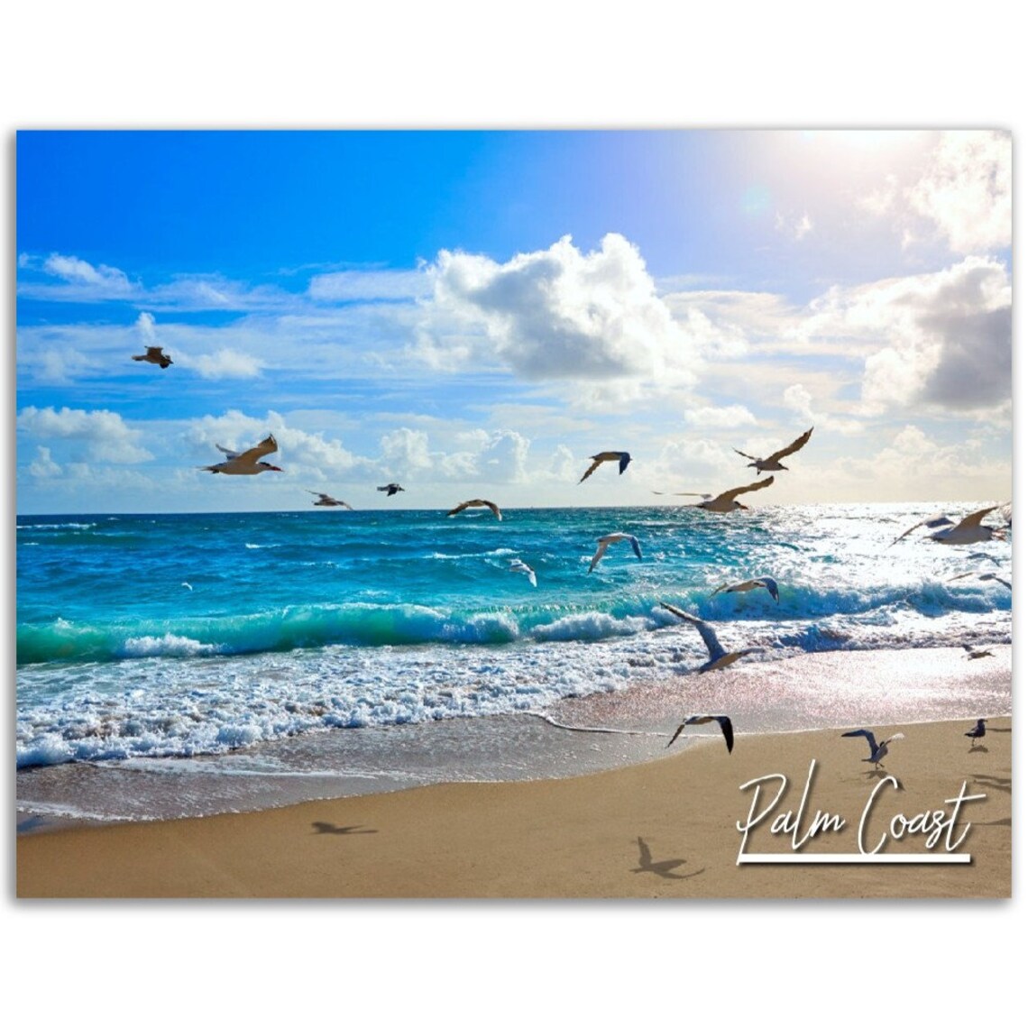 Palm Coast Florida Beach Seagulls Over Turquoise Surf Photography Poster