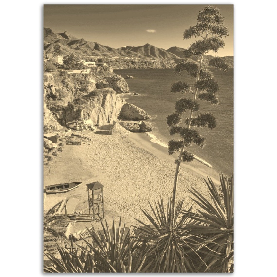 Nerja Spain Sepia Beach Cliffs Agave Vintage Coastal Photo Poster