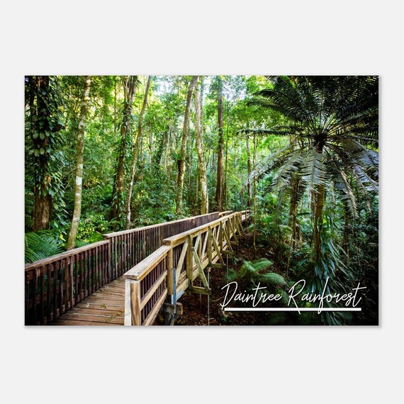 Daintree Rainforest Print Jindalba Boardwalk Photo Australia Travel Poster