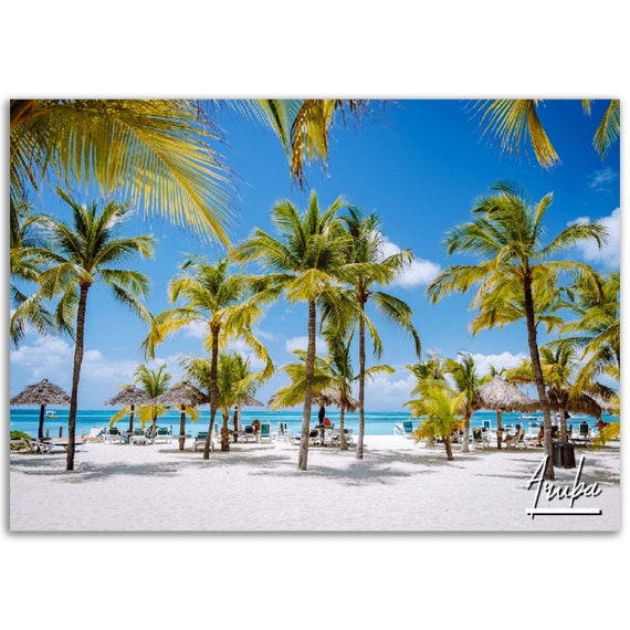 Aruba Beach Print Caribbean Travel Photo Tropical Decor