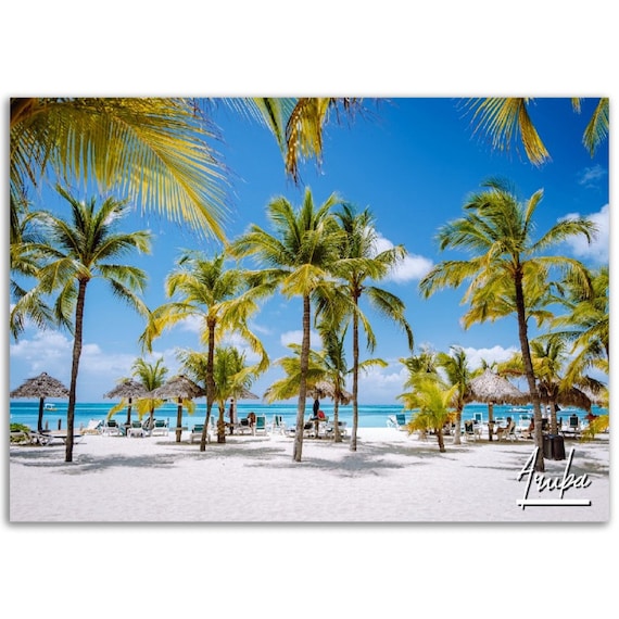 Aruba Caribbean Beach Palm Trees White Sand Tropical Photo Poster