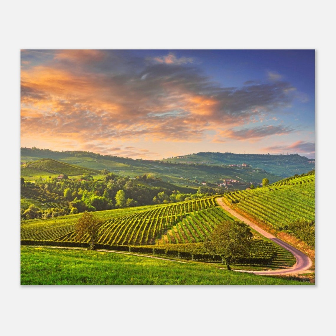 Piedmont Italy Vineyard Sunset Rolling Hills Landscape Poster